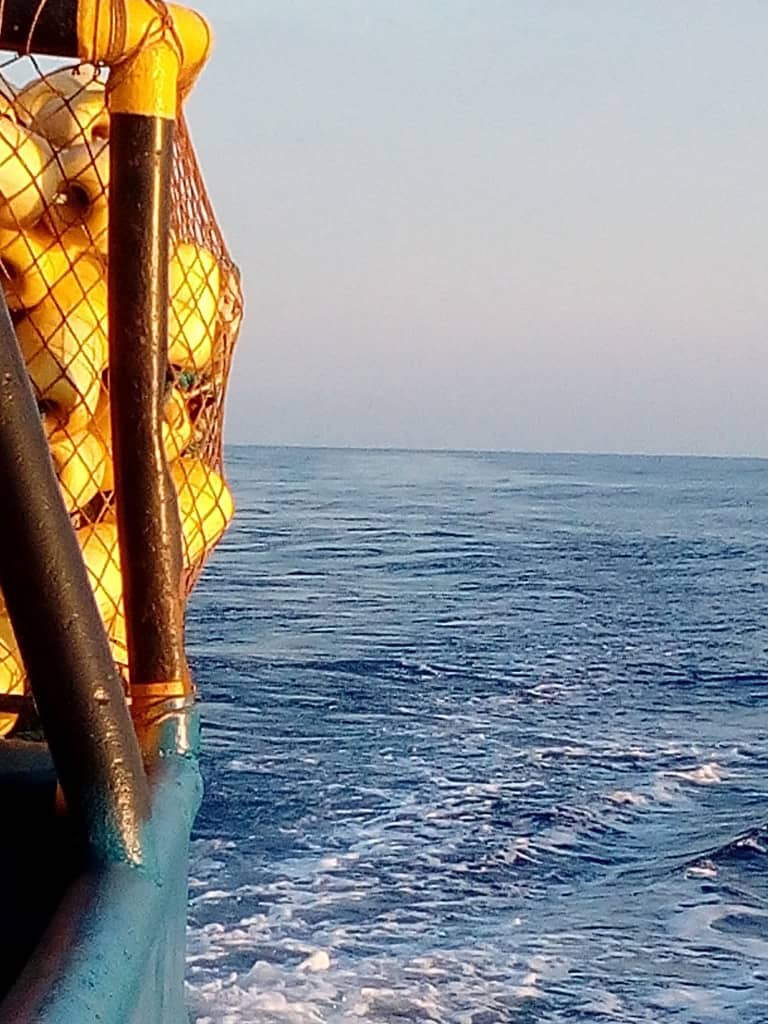 صورة من موقع العمل